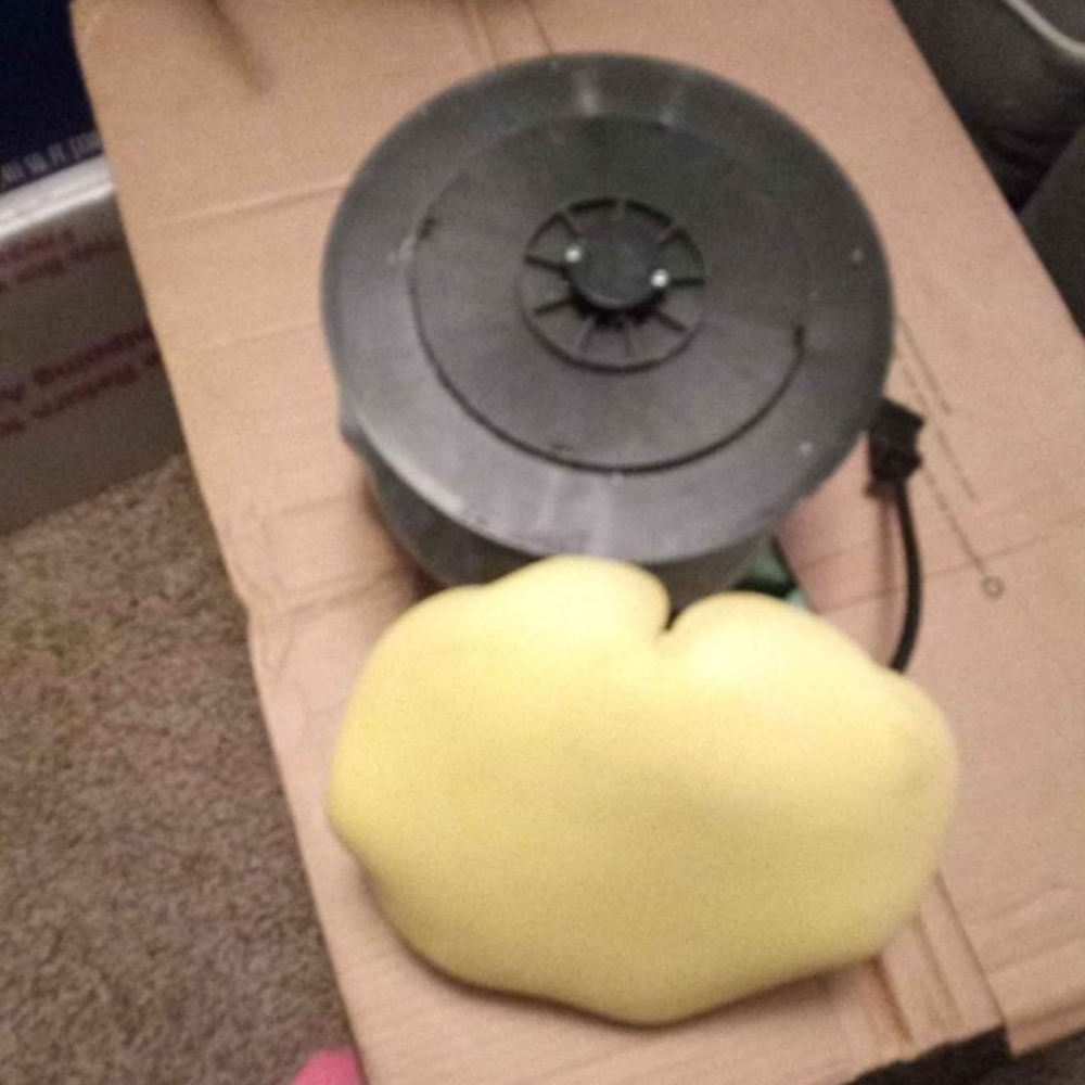 Electrical Buffer It Needs The Pad. Its New.